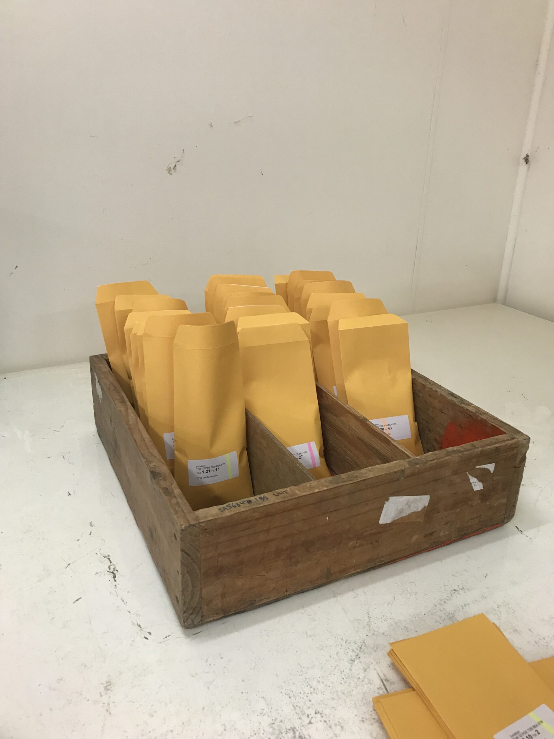 Seed envelopes in cartridge
