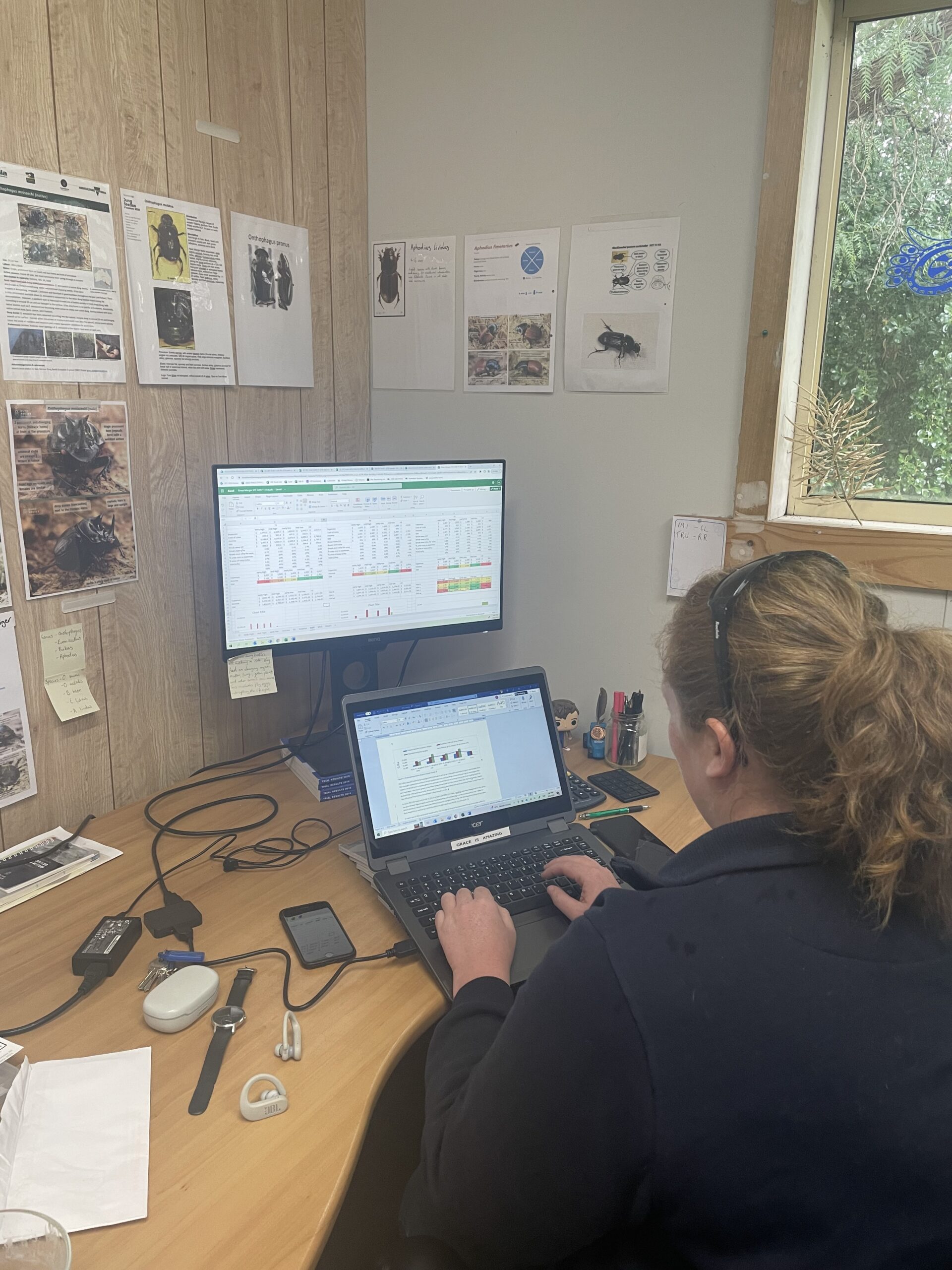 Senior R&E Officer, Grace Evans, busy analysing data and writing reports on the SFS variety by management trials for the results book