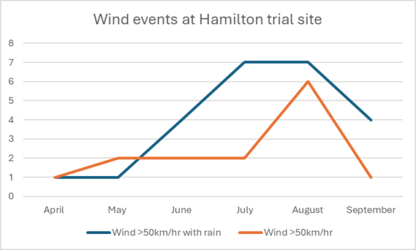 Wind events Hamilton