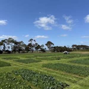 2-10-24 MLA DRB PAS (1)