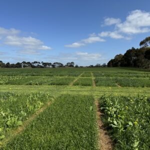 2-10-24 MLA DRB PAS (3)