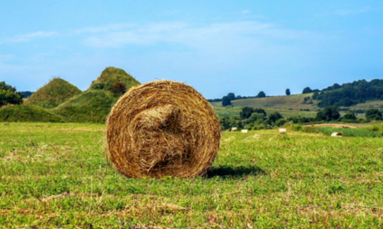 Haybale