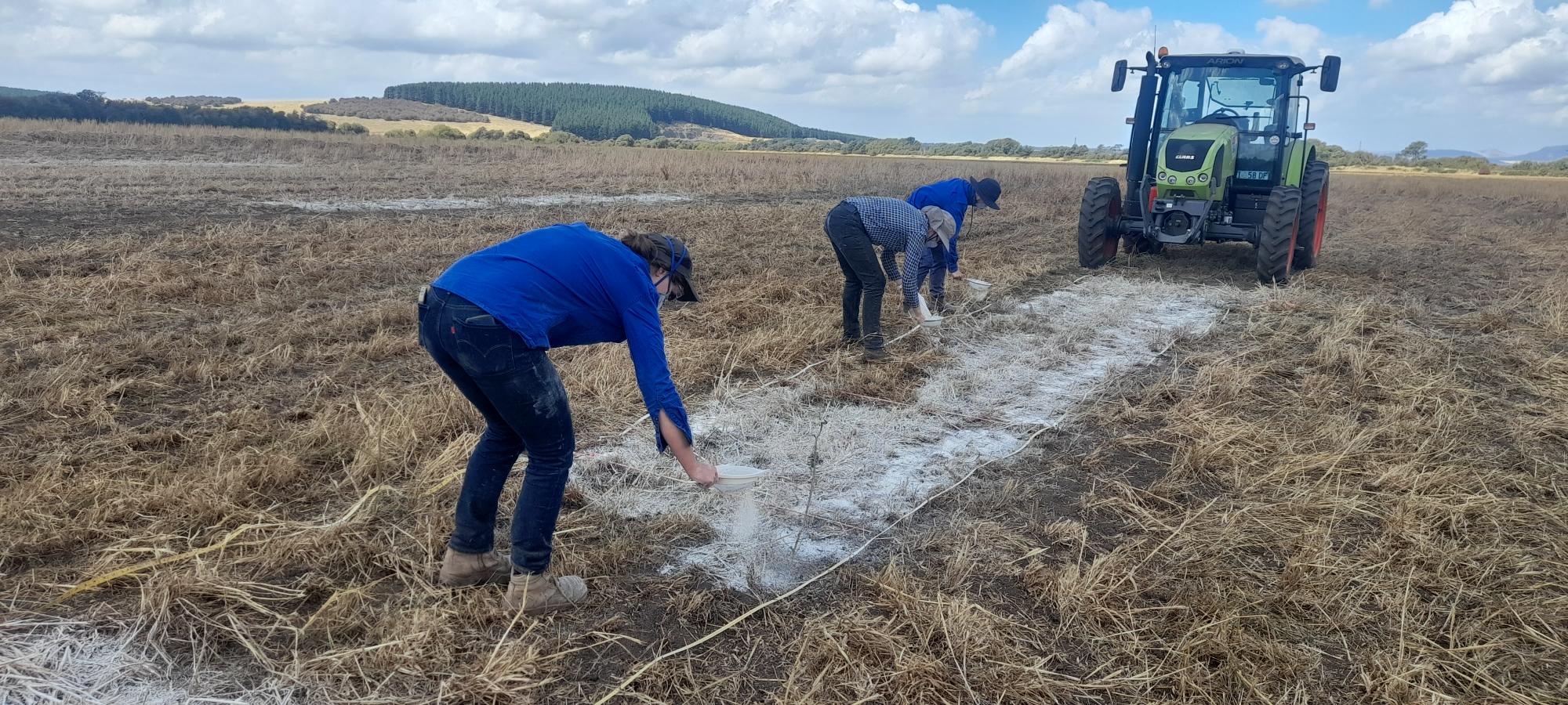 Team liming new trial