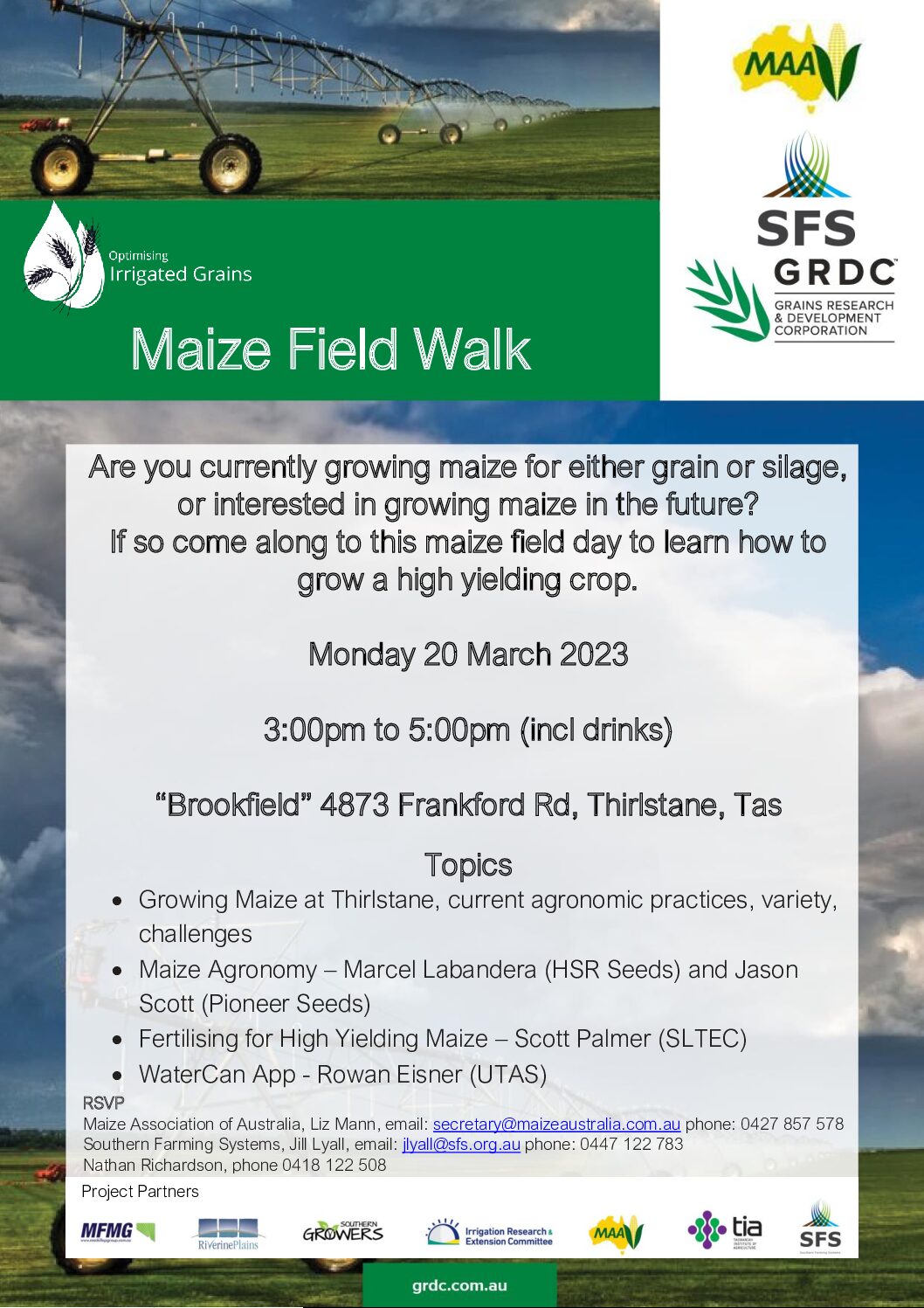 Maize Field Day Tassie 20 March 2023 (002)