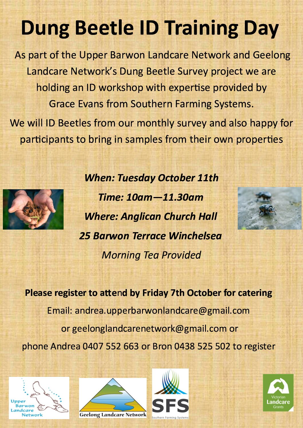 dung beetles id workshop